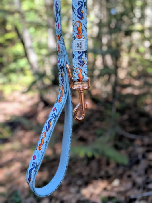 Seahorse Leash