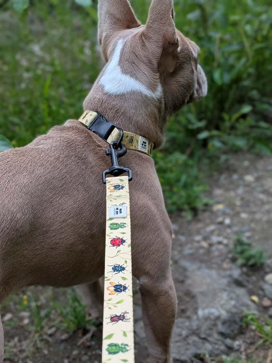 Garden Gallery Leash