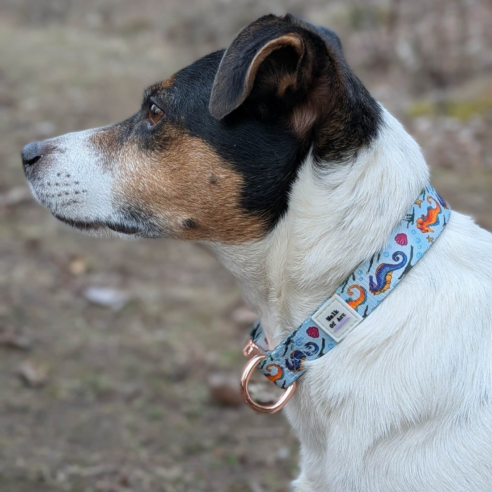 Remington wearing size small