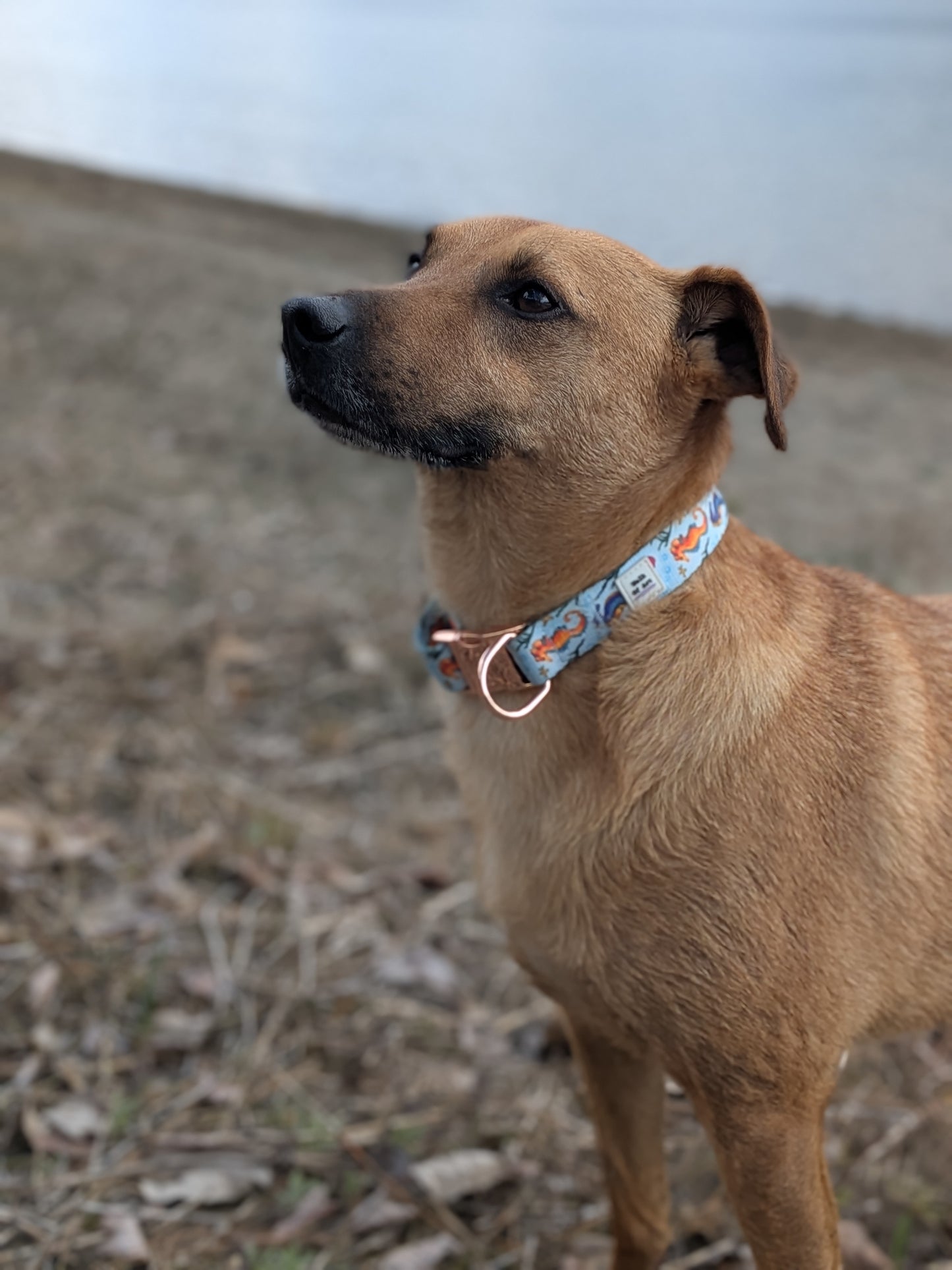 Winks wearing size medium