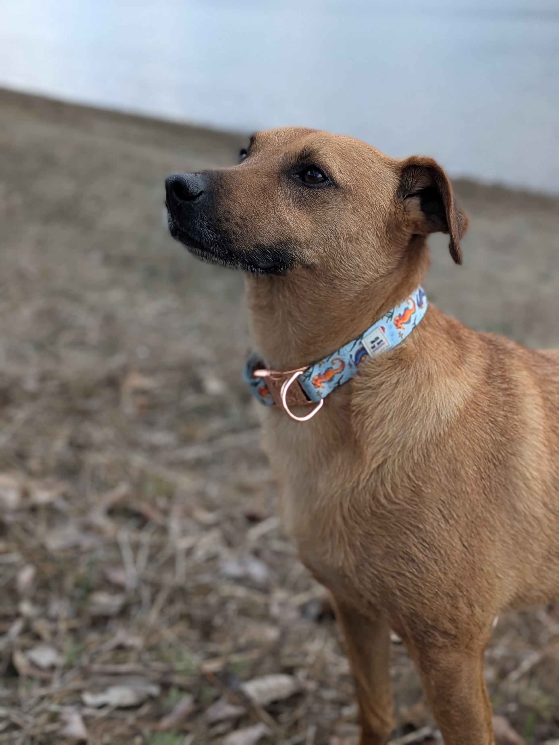 Winks wearing size medium