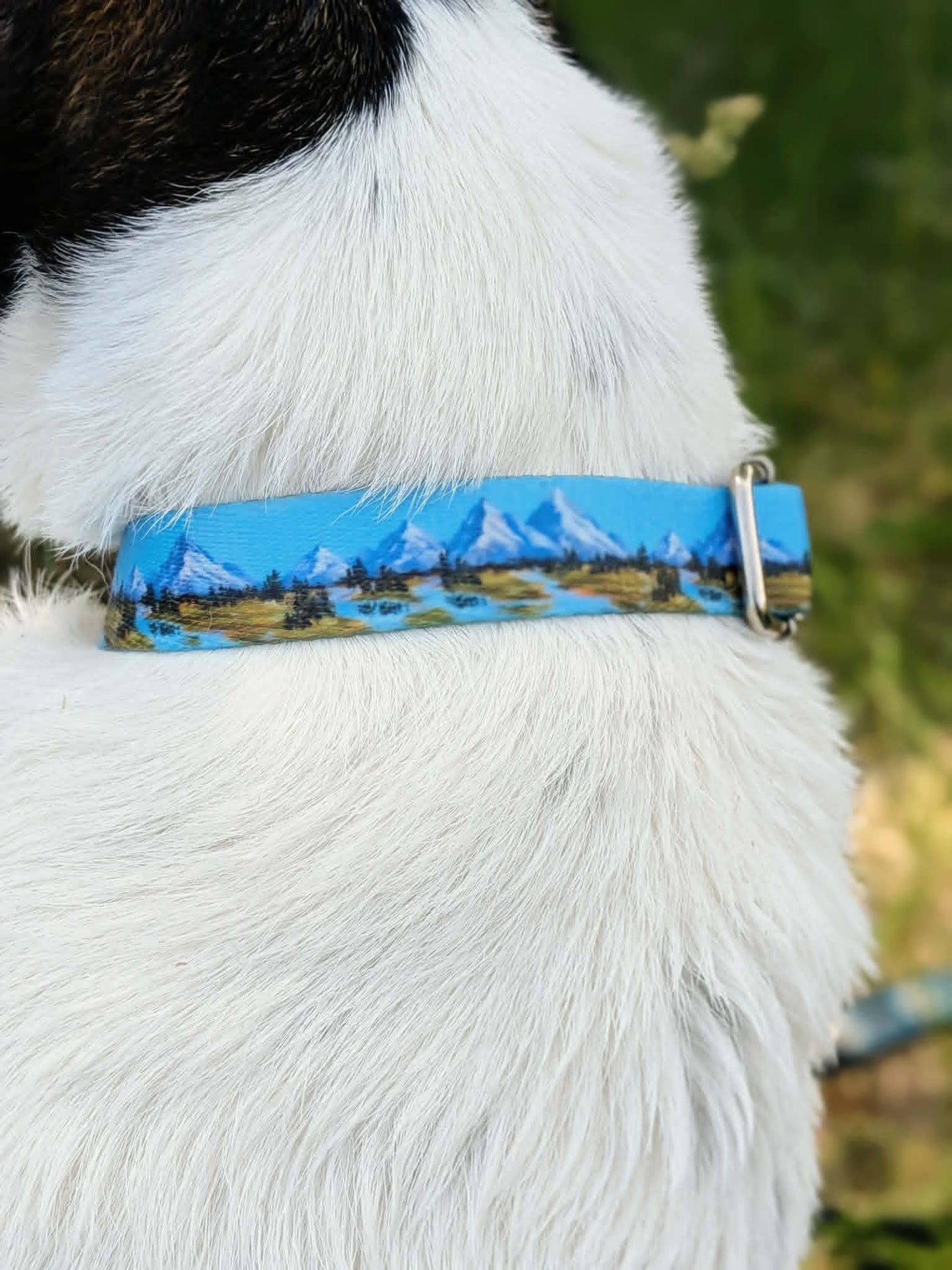 Alpine Meadows Collar