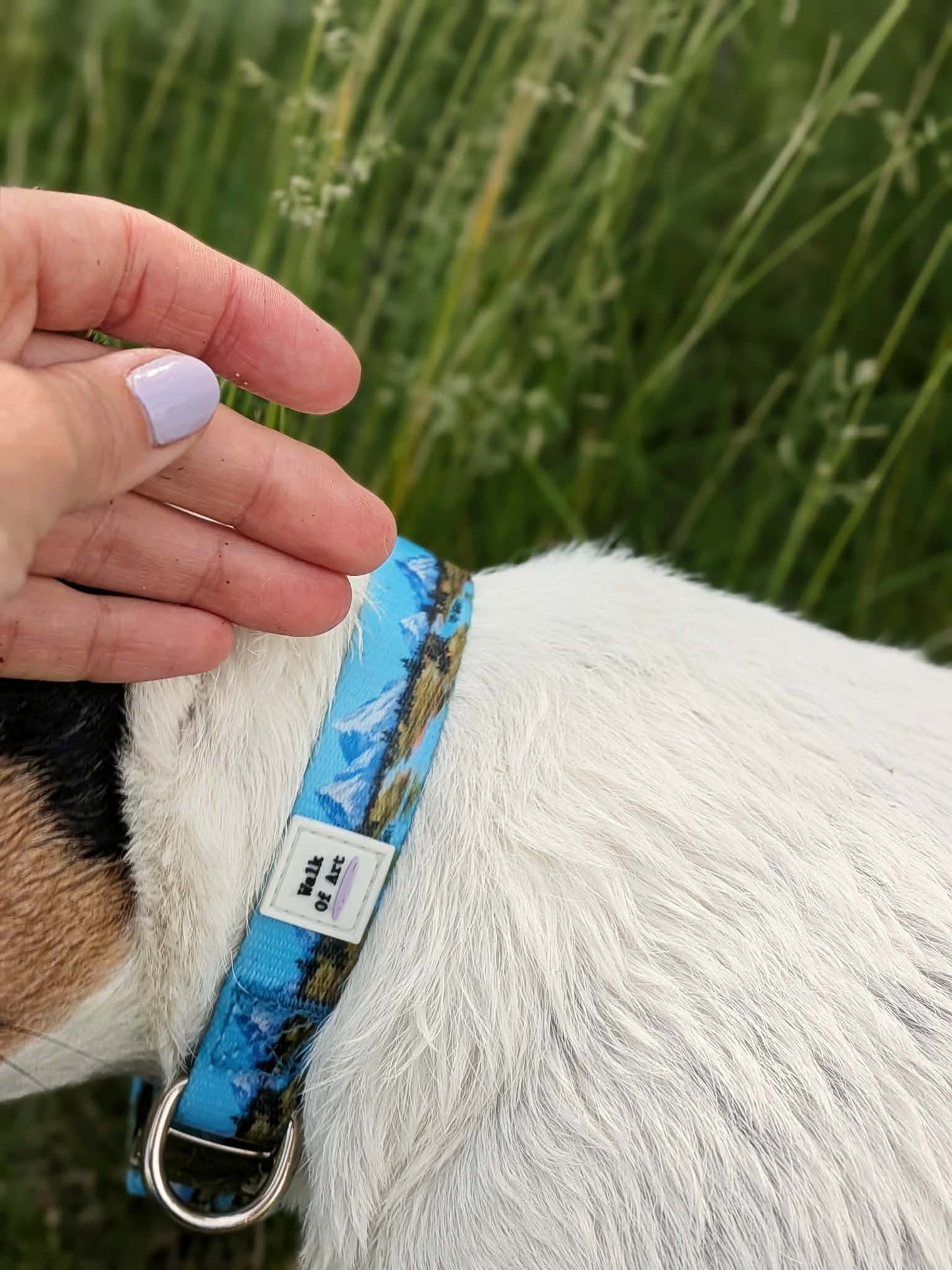 Alpine Meadows Collar
