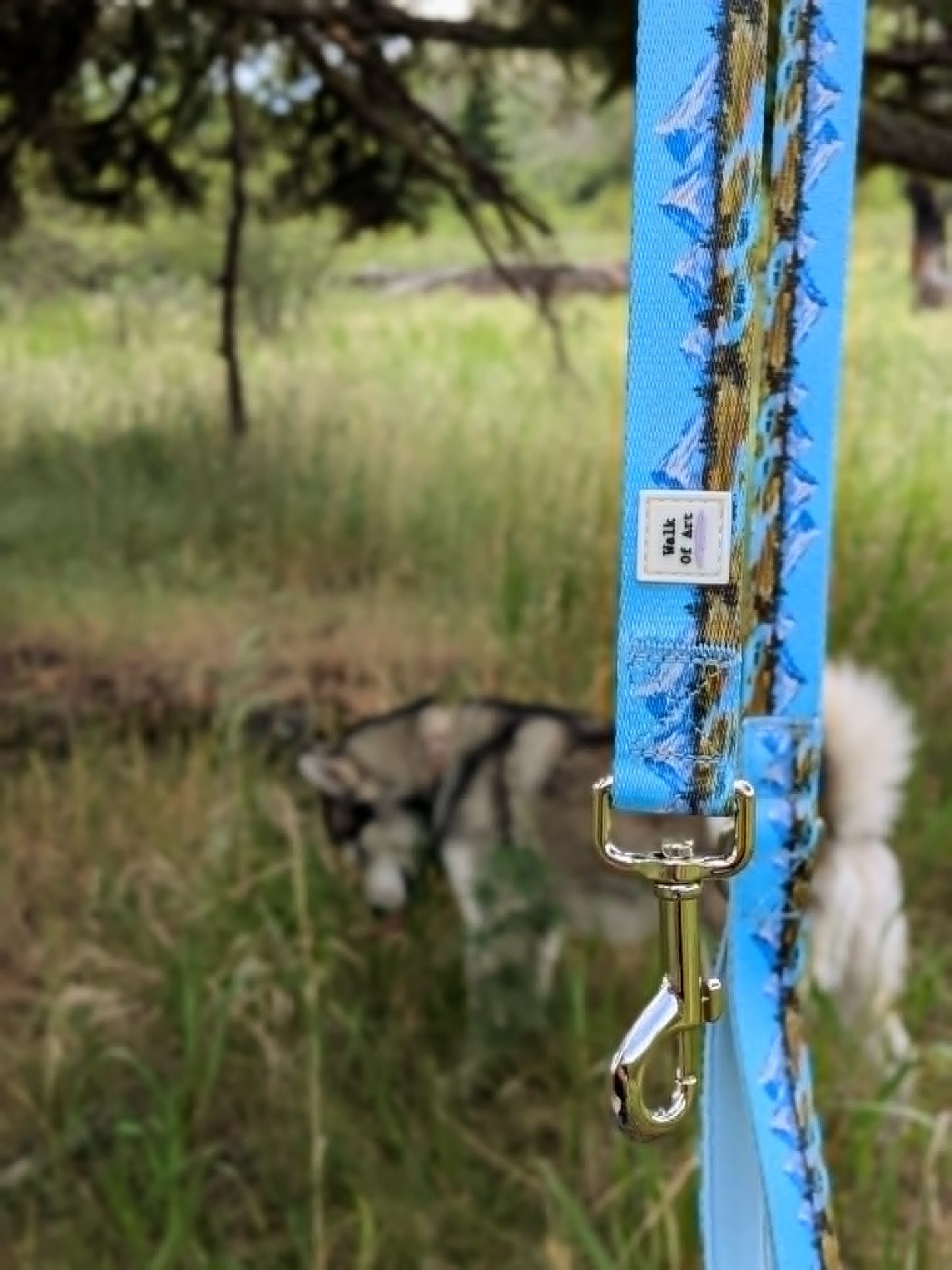 Alpine Meadows Leash