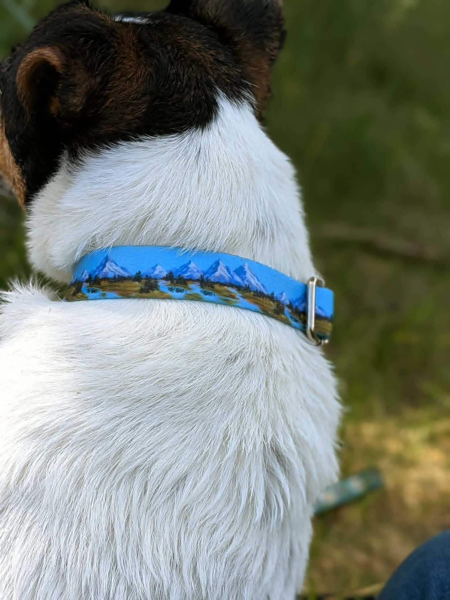 Alpine Meadows Collar
