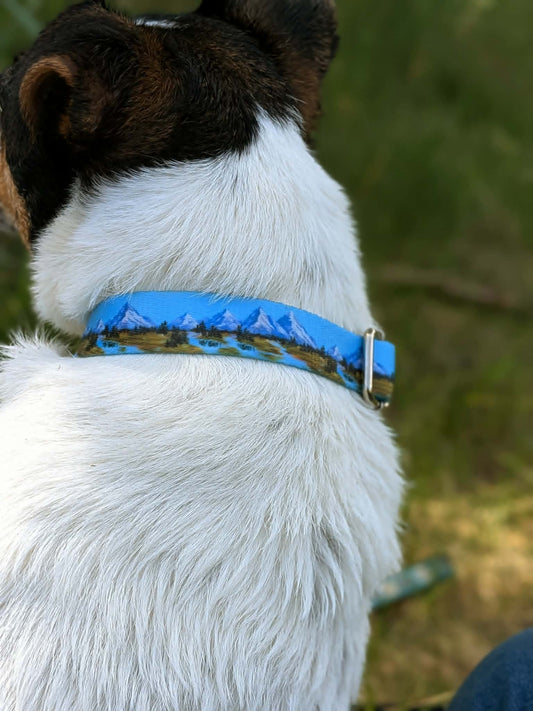 Alpine Meadows Collar